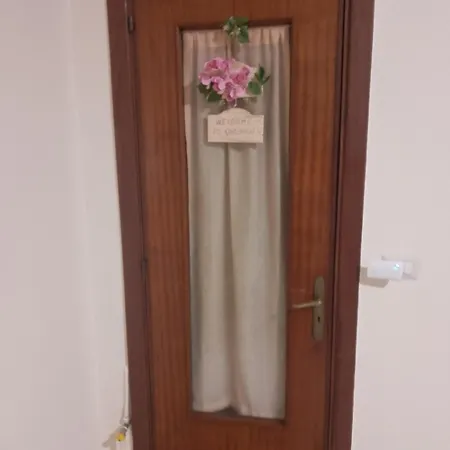 Orchidea1 马尔恰尼塞