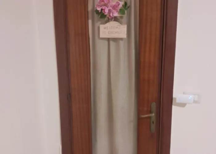 Orchidea1 Marcianise